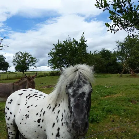 Holiday home Familiale Avec Mini-ferme Et Activites Pour Enfants - Fr-1-489-121 *